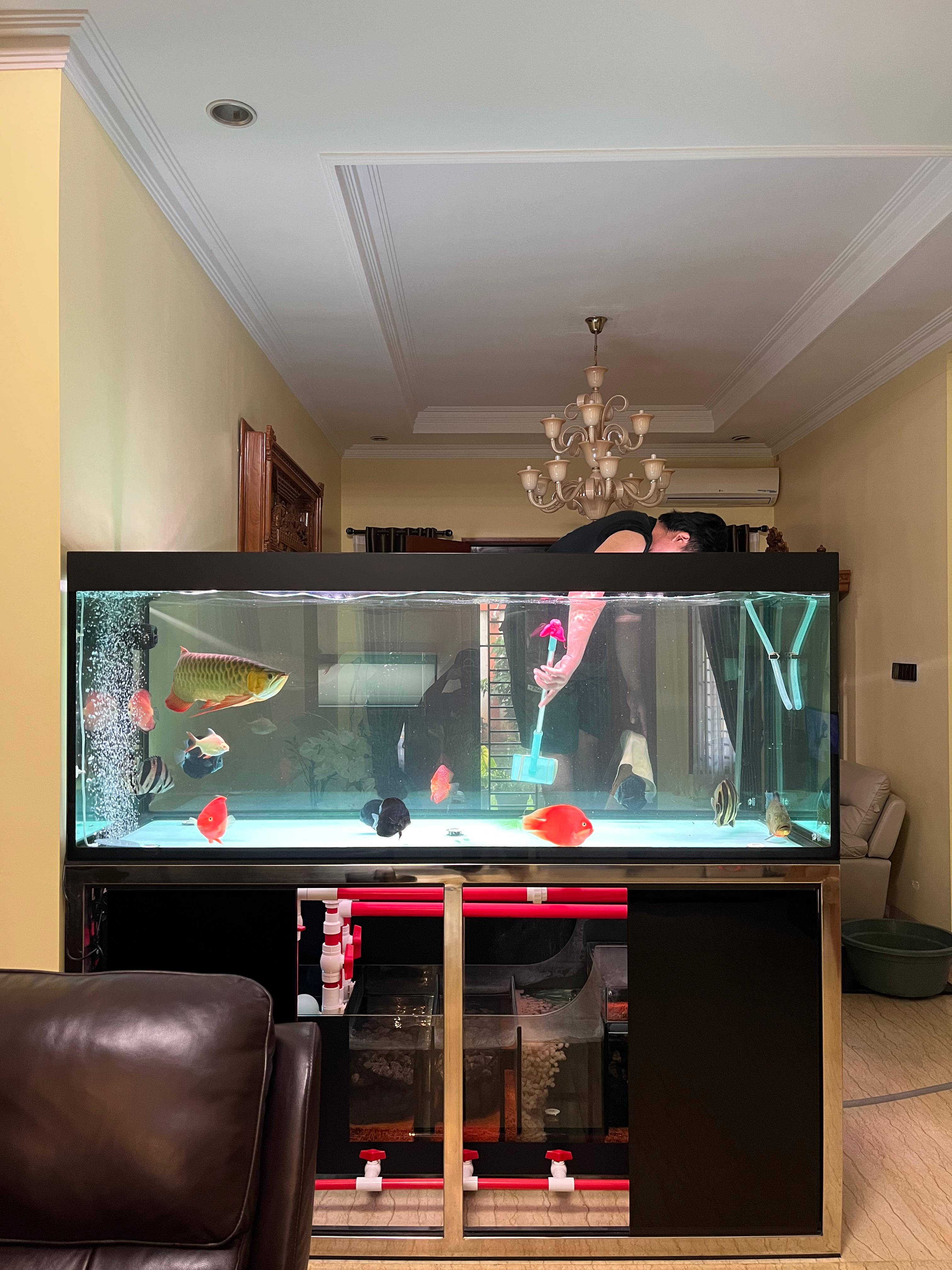 Layanan Akuarium